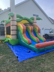 52F288A2 985A 407C A4F0 0CD7AB55A4F0 1663591311 Tropical Junior Bounce House and Double Slide